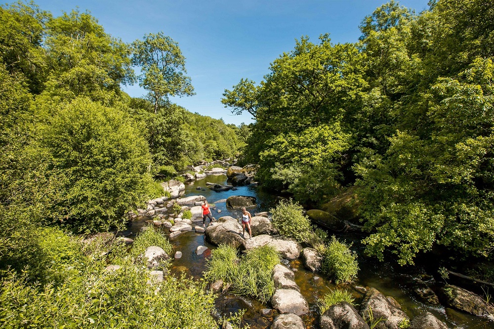 Piquet-Vendée-Tourisme