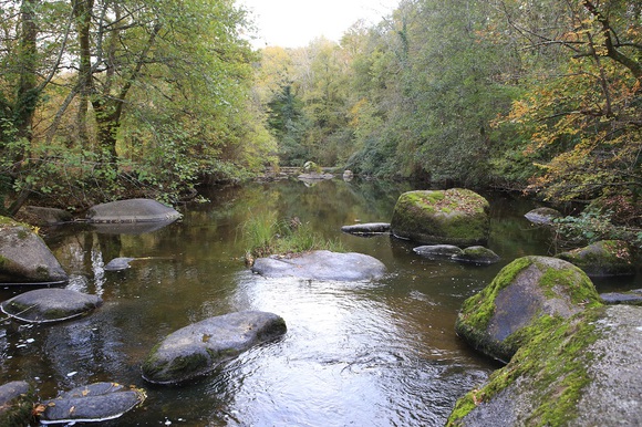 L'île 1